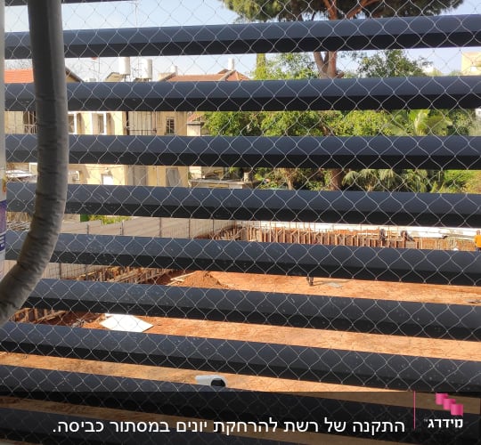 רשת מתכת על חלון למניעת כניסת יונים